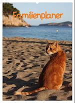 Familienplaner Katzen (Wandkalender 2025 DIN A2 hoch), CALVENDO Monatskalender