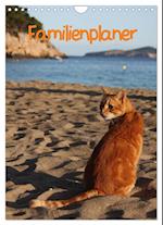 Familienplaner Katzen (Wandkalender 2025 DIN A4 hoch), CALVENDO Monatskalender