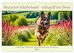 Deutscher Schäferhund - Inbegriff der Treue (Wandkalender 2025 DIN A4 quer), CALVENDO Monatskalender