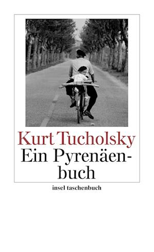 Ein Pyrenäenbuch