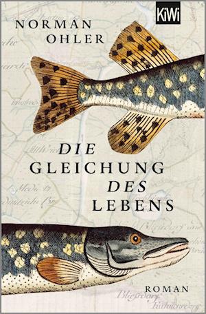 Die Gleichung des Lebens