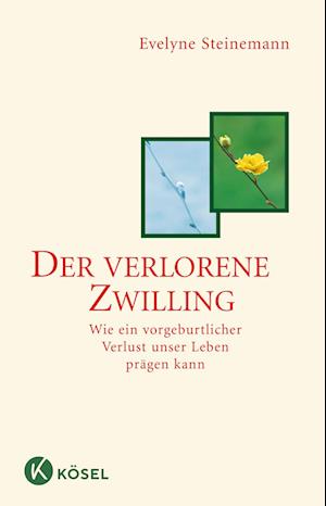 Der verlorene Zwilling