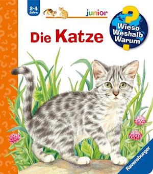 tro på Ejendomsret Teasing Få Die Katze af Patricia Mennen som Papbog bog på tysk