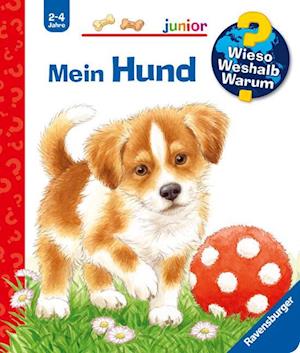 Wieso? Weshalb? Warum? junior: Mein Hund (Band 41)