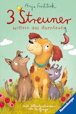 3 Streuner wittern das Abenteuer, Band 1 (lustige Hundegeschichte mit Kuschelfaktor für Mädchen und Jungen ab 8 Jahren)