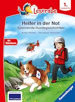 Helfer in der Not - Spannende Hundegeschichten - lesen lernen mit dem Leseraben - Erstlesebuch - Kinderbuch ab 6 Jahren - Lesenlernen 1. Klasse Jungen und Mädchen (Leserabe 1. Klasse)