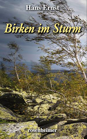 Birken im Sturm