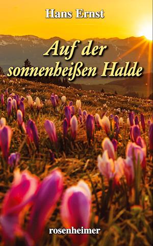 Auf der sonnenheißen Halde