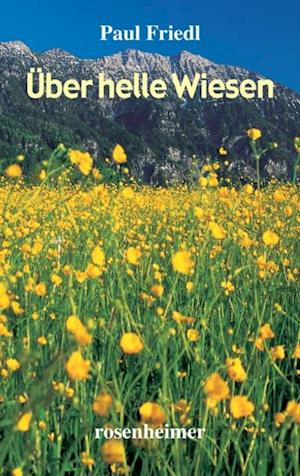 Über helle Wiesen