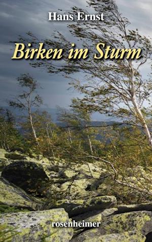 Birken im Sturm