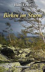 Birken im Sturm