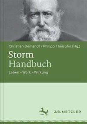 Storm-Handbuch