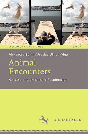 Animal Encounters