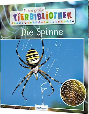 Meine große Tierbibliothek: Die Spinne