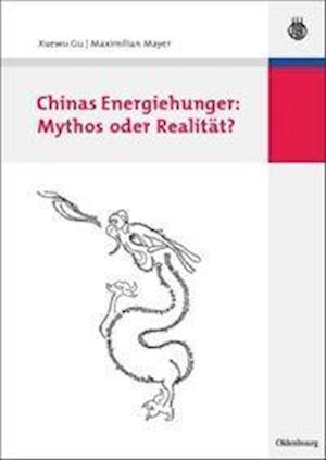 Chinas Energiehunger