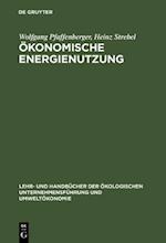 Ökonomische Energienutzung