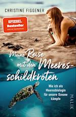 Meine Reise mit den Meeresschildkröten