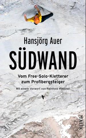 Südwand