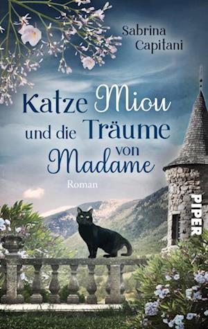 Katze Miou und die Träume von Madame