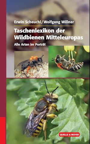 Taschenlexikon der Wildbienen Mitteleuropas