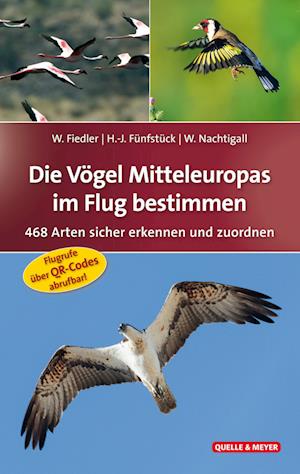 Die Vögel Mitteleuropas im Flug bestimmen