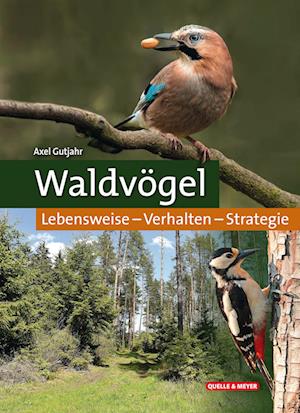 Waldvögel