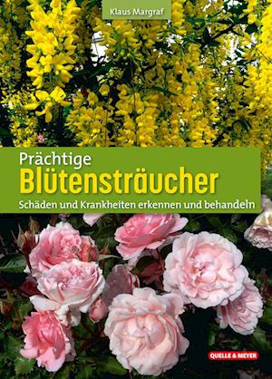 Prächtige Blütensträucher