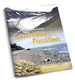 Geschiebe-Fossilien