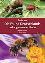 Brohmer - Die Fauna Deutschlands und angrenzender Länder