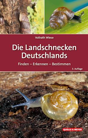 Die Landschnecken Deutschlands