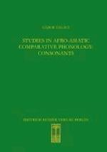Studies in Afro-Asiatic Comparative Phonology: Consonants