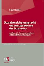 Sozialversicherungsrecht und sonstige Bereiche des Sozialrechts