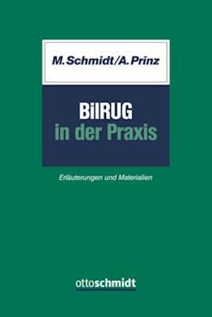 BilRUG in der Praxis