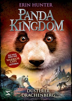 Panda Kingdom - Düsterer Drachenberg