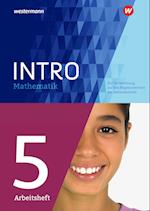 INTRO Mathematik SI 5. Arbeitsheft