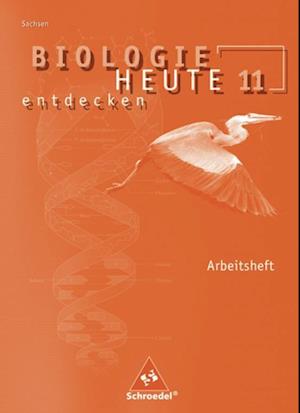 Biologie heute entdecken 11. Arbeitsheft. Sekundarstufe 2. Sachsen