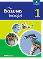 Erlebnis Biologie 1. Schülerband. Differenzierende Ausgabe. Niedersachsen