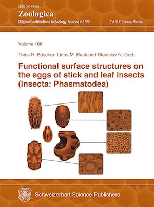 Functional surface structures on the eggs of stick and leaf insects (Insecta: Phasmatodea)