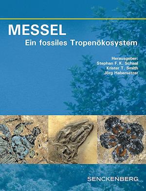 MESSEL - Ein fossiles Tropenökosystem