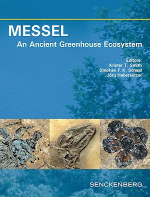 MESSEL - An Ancient Greenhouse Ecosystem