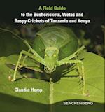 A Field Guide to the Bushcrickets, Wetas and Raspy Crickets of Tanzania and Kenya