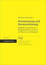 Normsetzung und Normverletzung