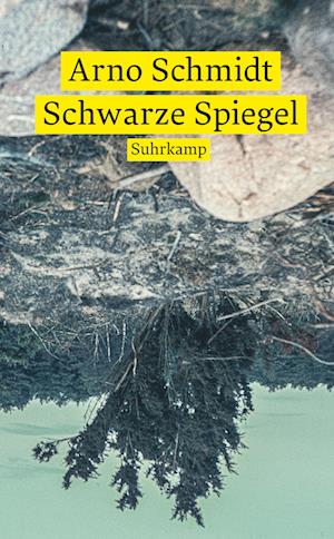 Schwarze Spiegel