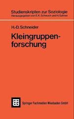 Kleingruppenforschung