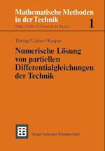 Numerische Lösung von partiellen Differentialgleichungen der Technik