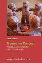 Trauma Im Kontext