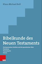 Bibelkunde des Neuen Testaments