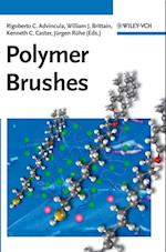 Polymer Brushes – Synthesis, Characterization and Applications