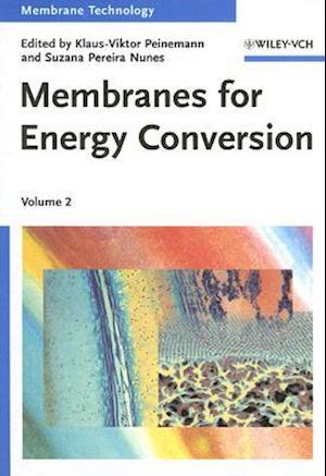 Membranes for Energy Conversion
