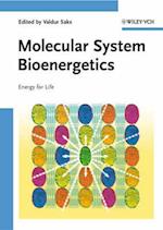 Molecular System Bioenergetics – Energy for Life